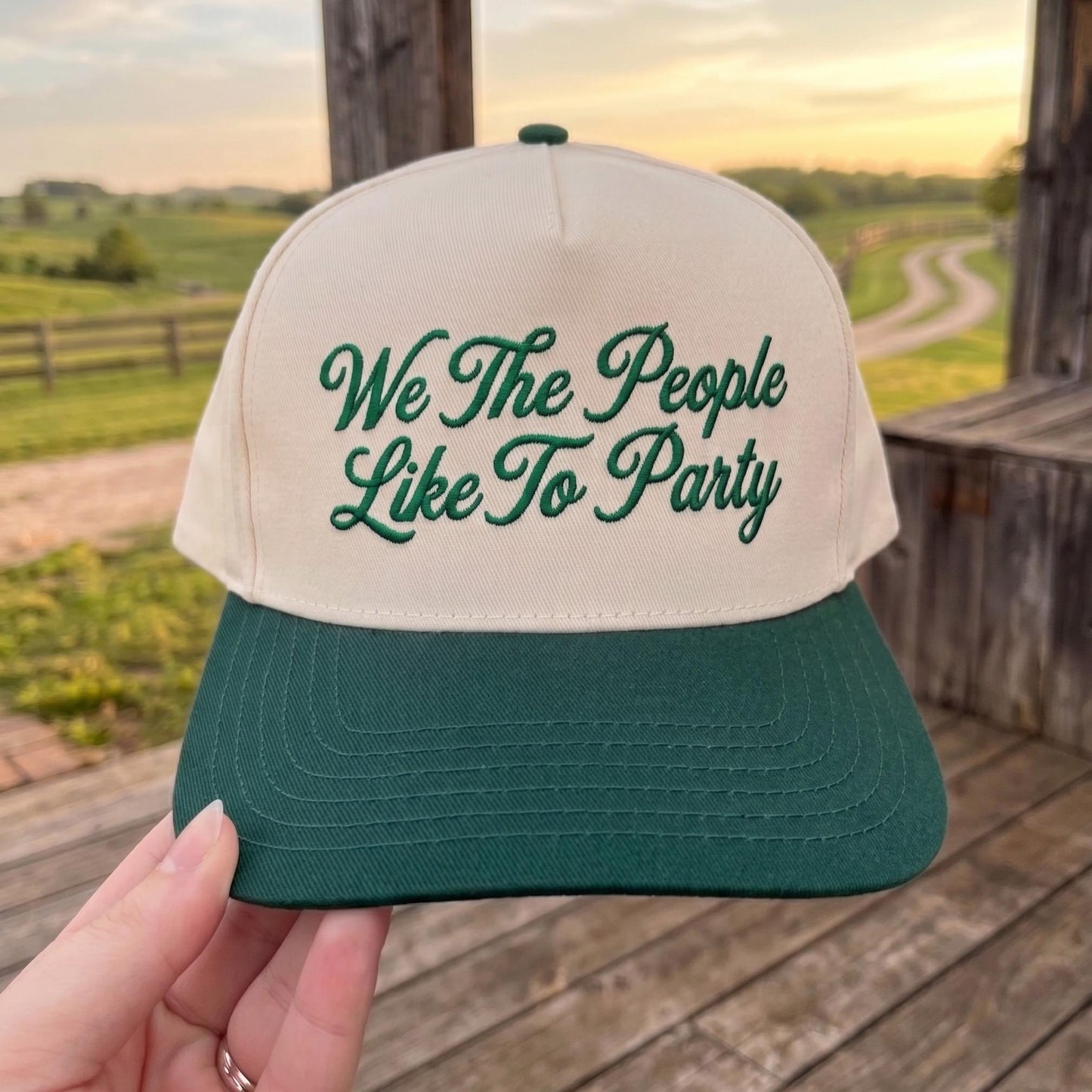 Embroidered Party Theme Baseball Cap - 'We The People Like To Party' Design - Image 3